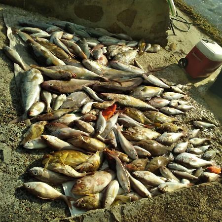 Mirella Villa Anse Volbert Village المظهر الخارجي الصورة