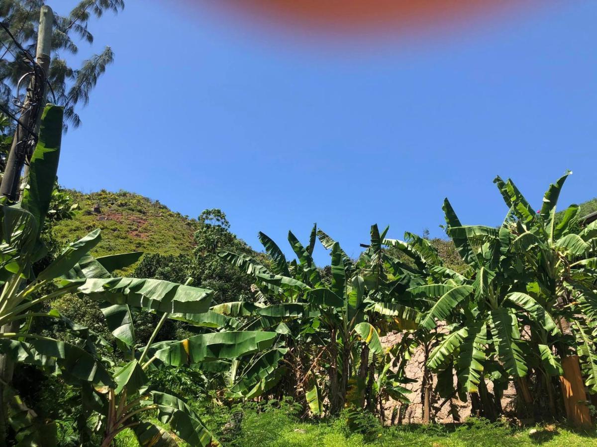 Mirella Villa Anse Volbert Village المظهر الخارجي الصورة