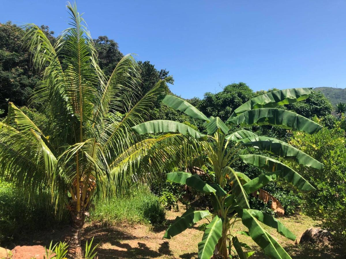 Mirella Villa Anse Volbert Village المظهر الخارجي الصورة