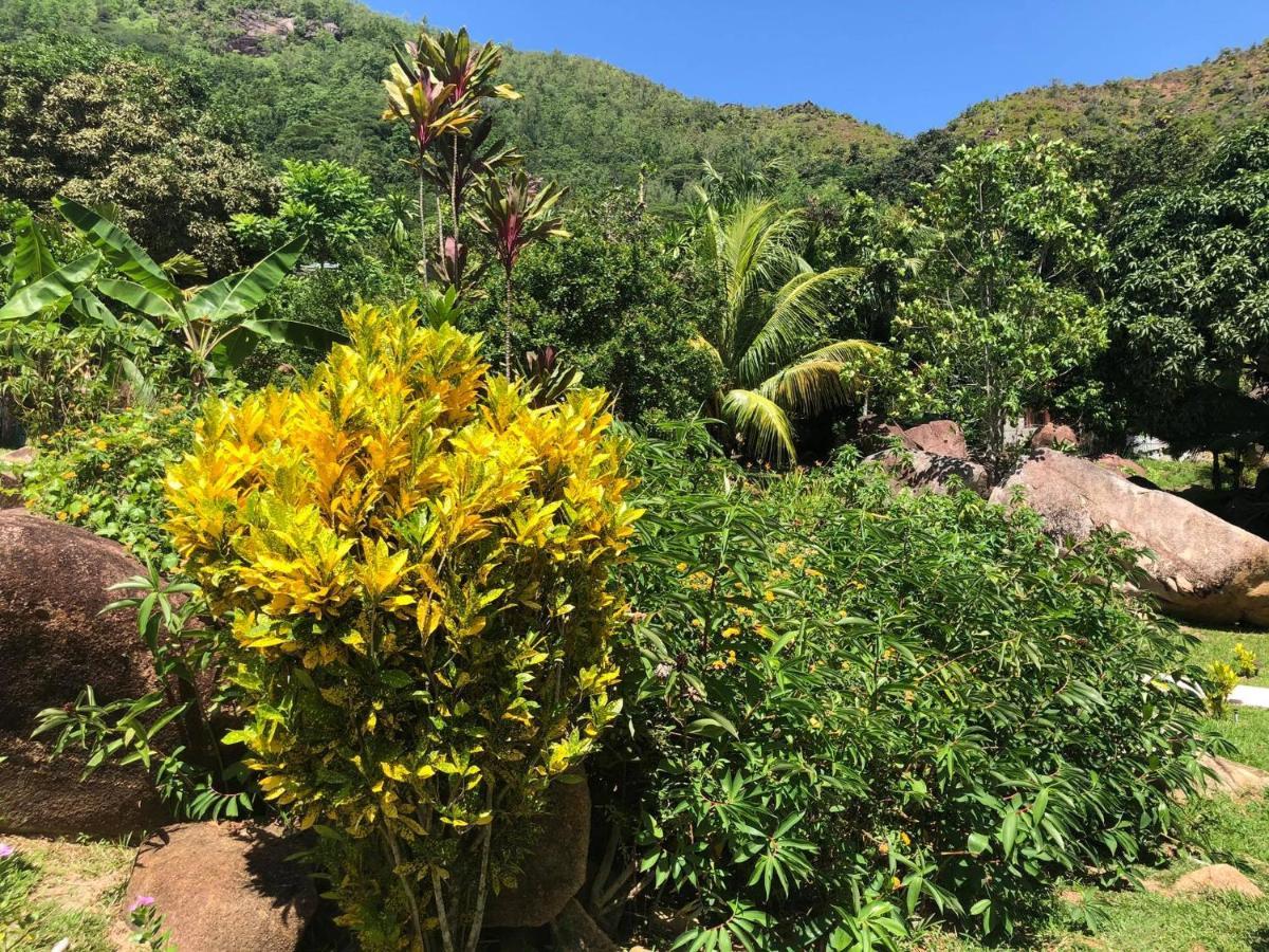 Mirella Villa Anse Volbert Village المظهر الخارجي الصورة