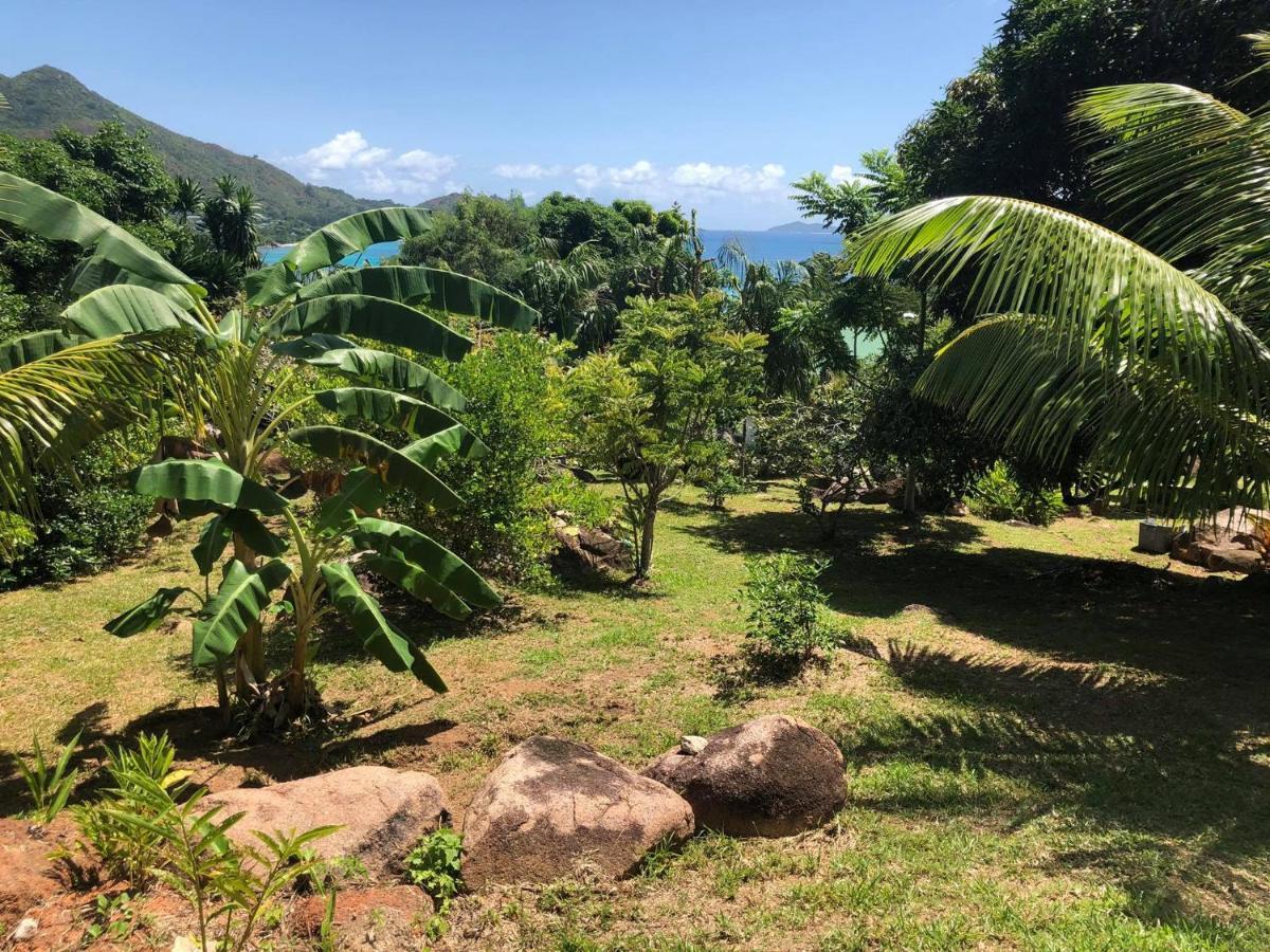 Mirella Villa Anse Volbert Village المظهر الخارجي الصورة